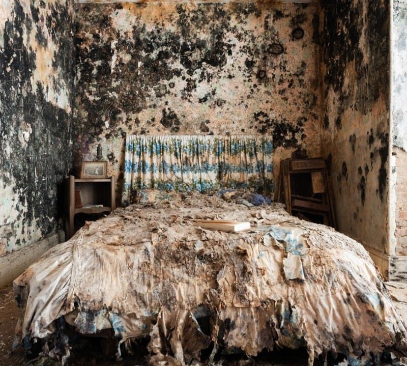 Beagle Consultancy - example of severe mould decay in bedroom