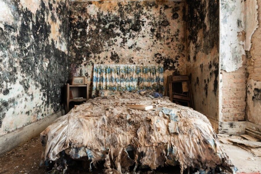 Beagle Consultancy - example of severe mould decay in bedroom