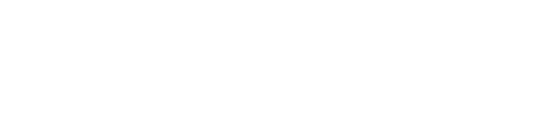 Beagle Consultancy