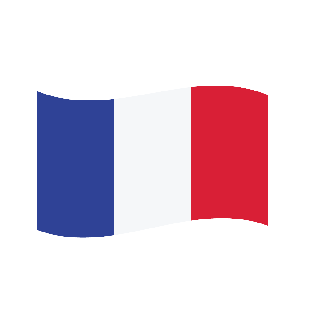 Beagle Consultancy International Speaker Flag icon - France
