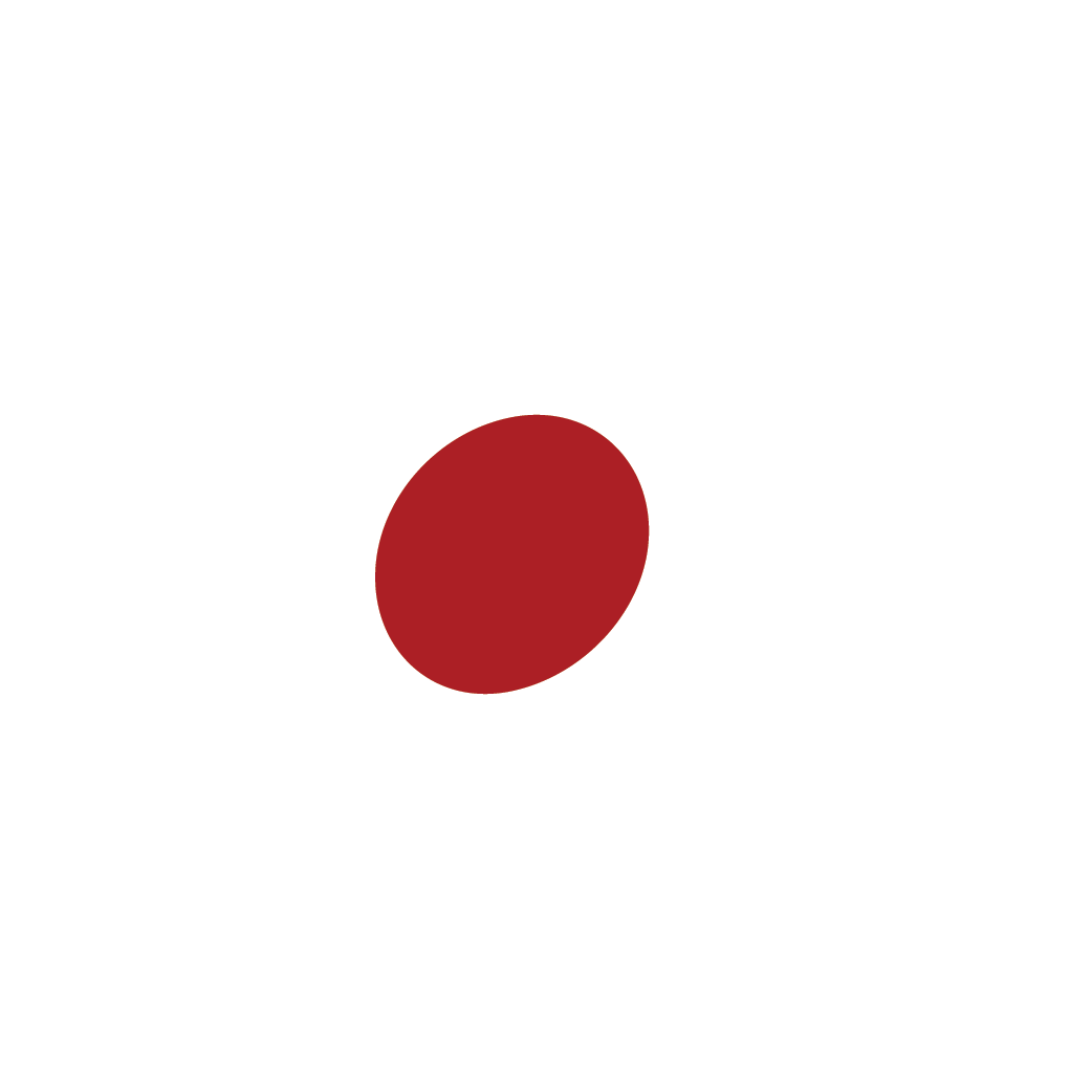 Beagle Consultancy International Speaker Flag icon - Japan