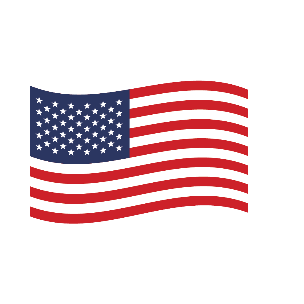 Beagle Consultancy International Speaker Flag icon - USA